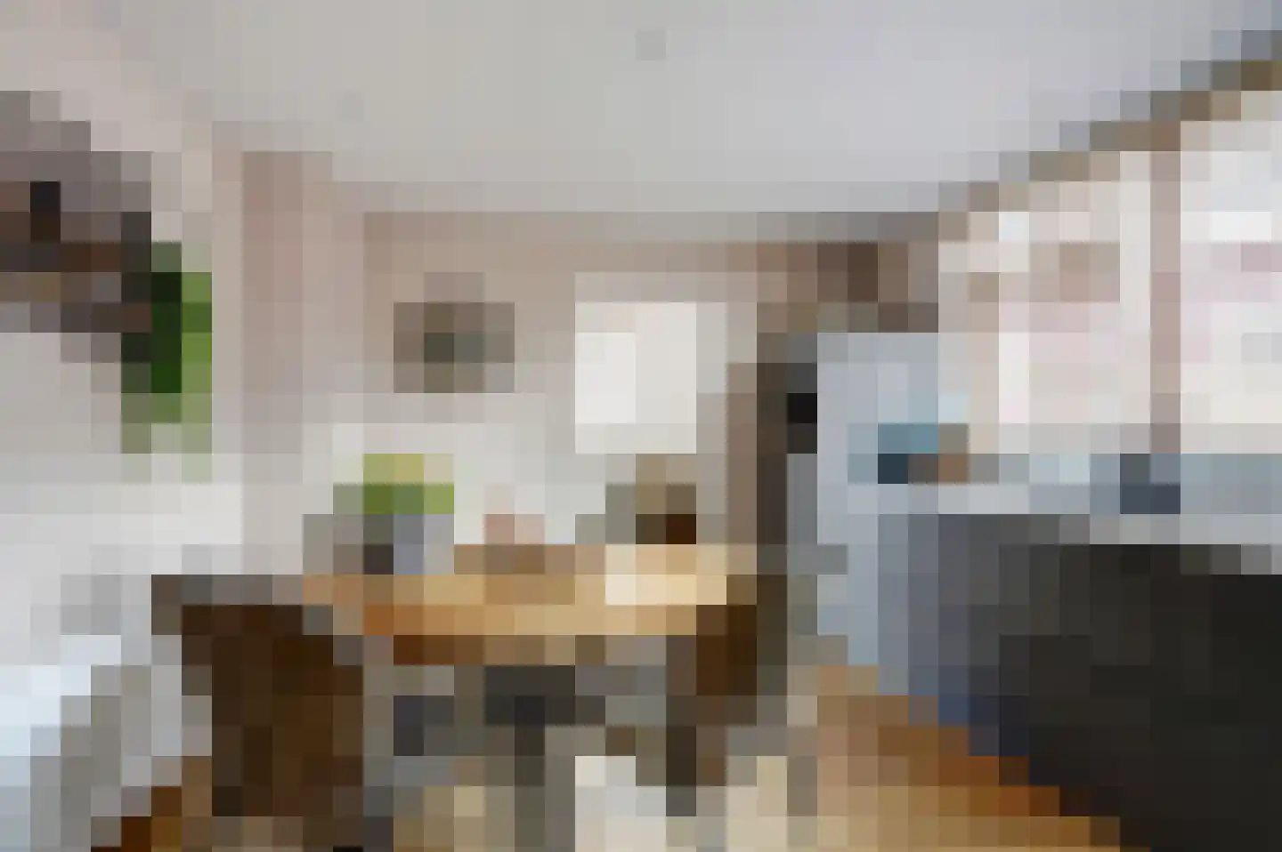 Skoalikkers 6 A Augustinusga thumbnail 13
