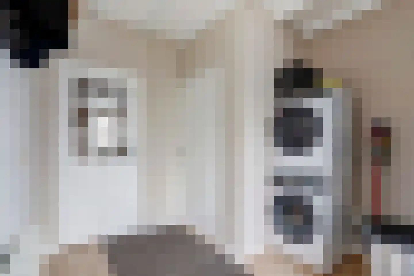 Skoalikkers 6 A Augustinusga thumbnail 16