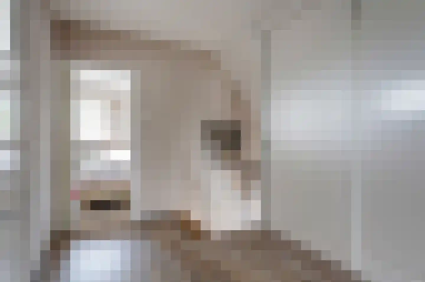 Skoalikkers 6 A Augustinusga thumbnail 19