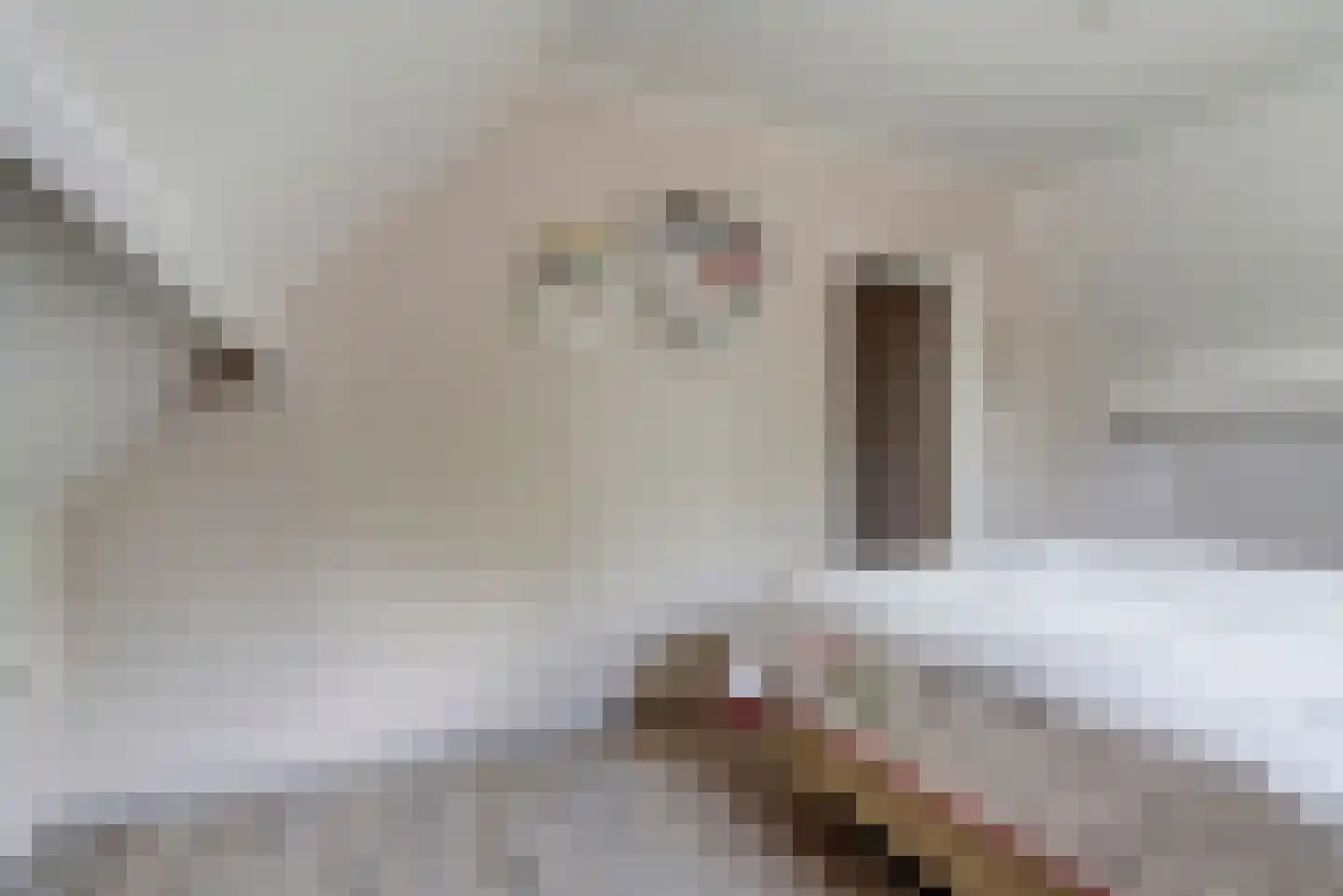 Skoalikkers 6 A Augustinusga thumbnail 21