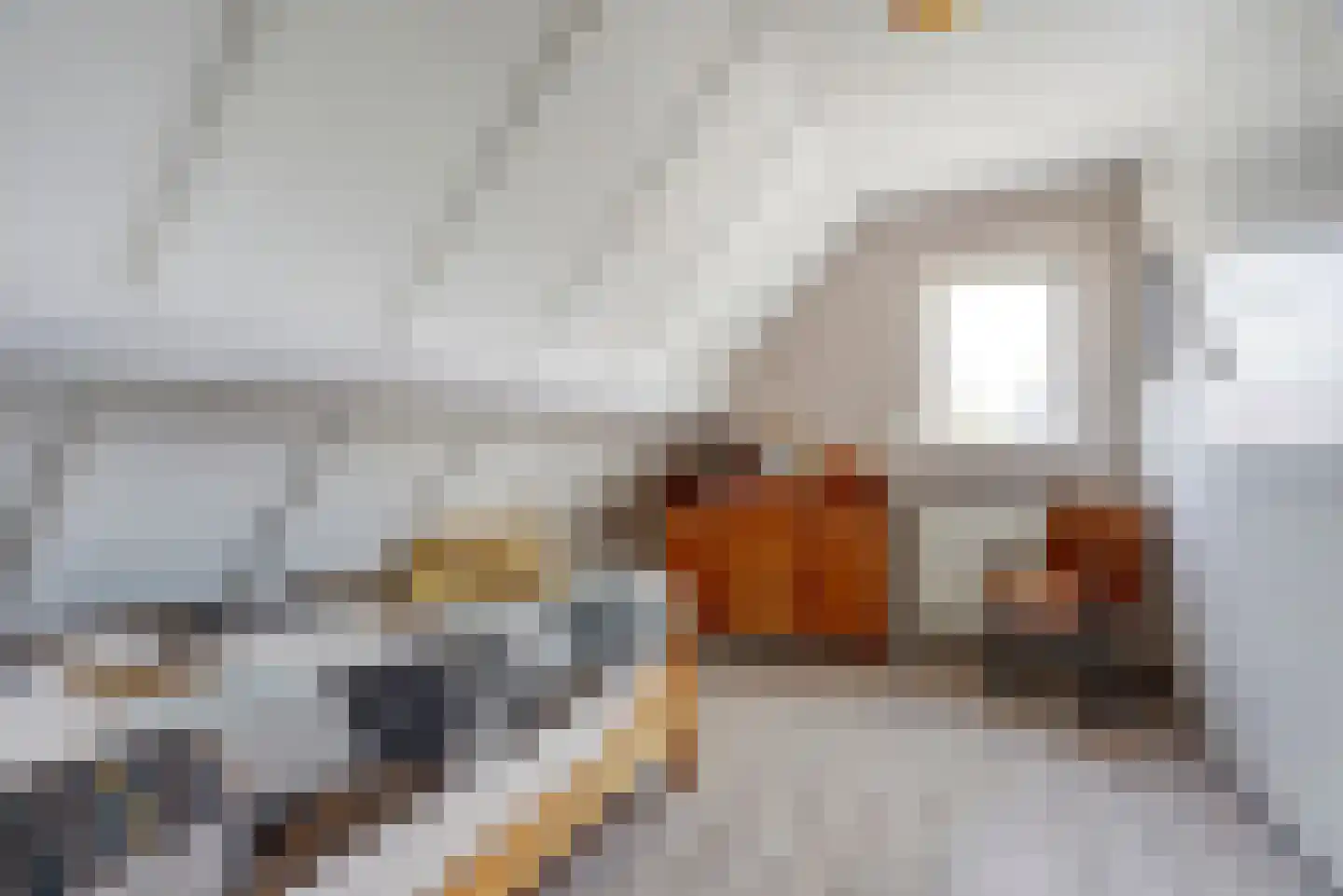 Skoalikkers 6 A Augustinusga thumbnail 22