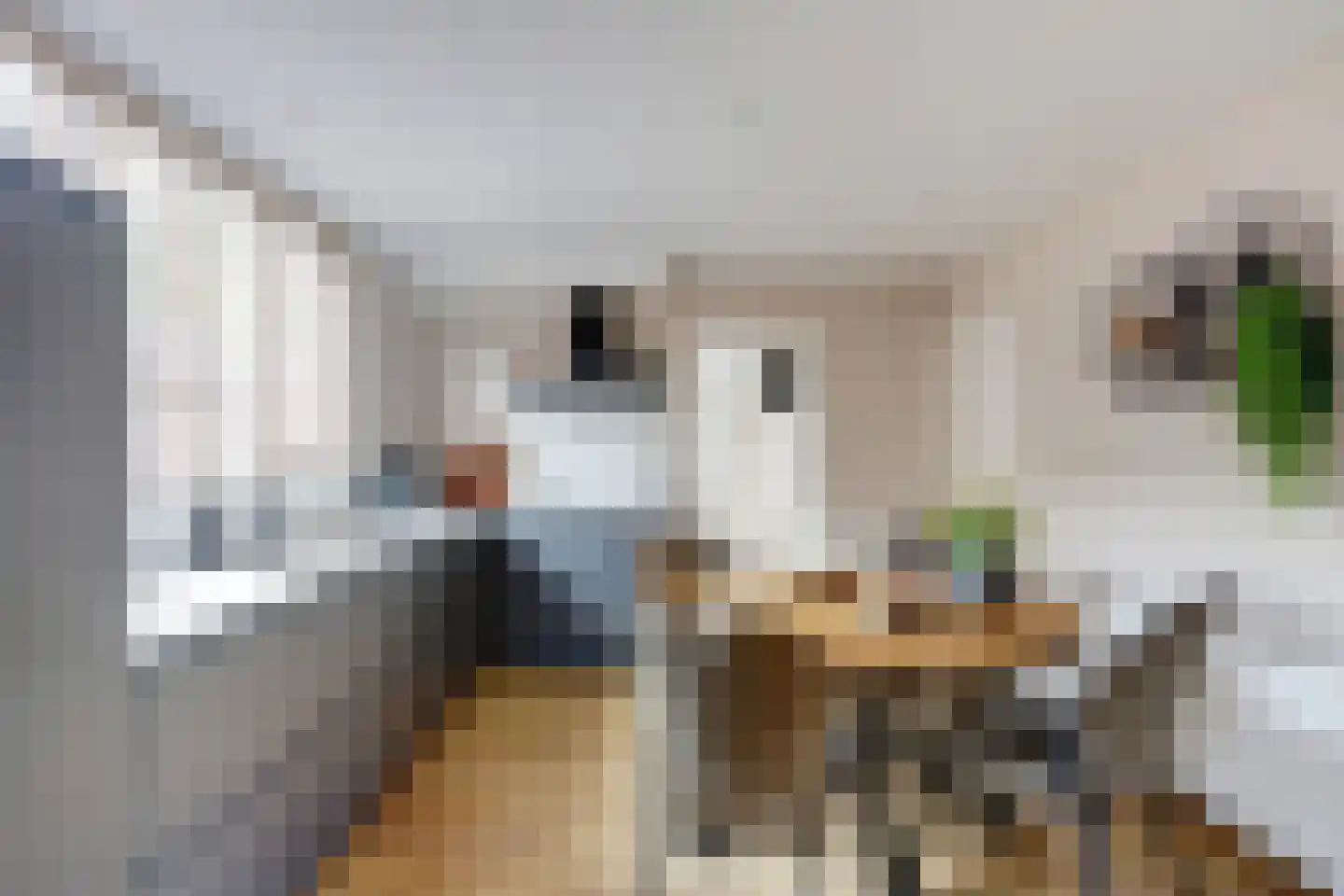 Skoalikkers 6 A Augustinusga thumbnail 6