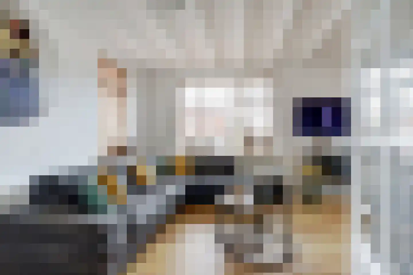Skoalikkers 6 A Augustinusga thumbnail 8