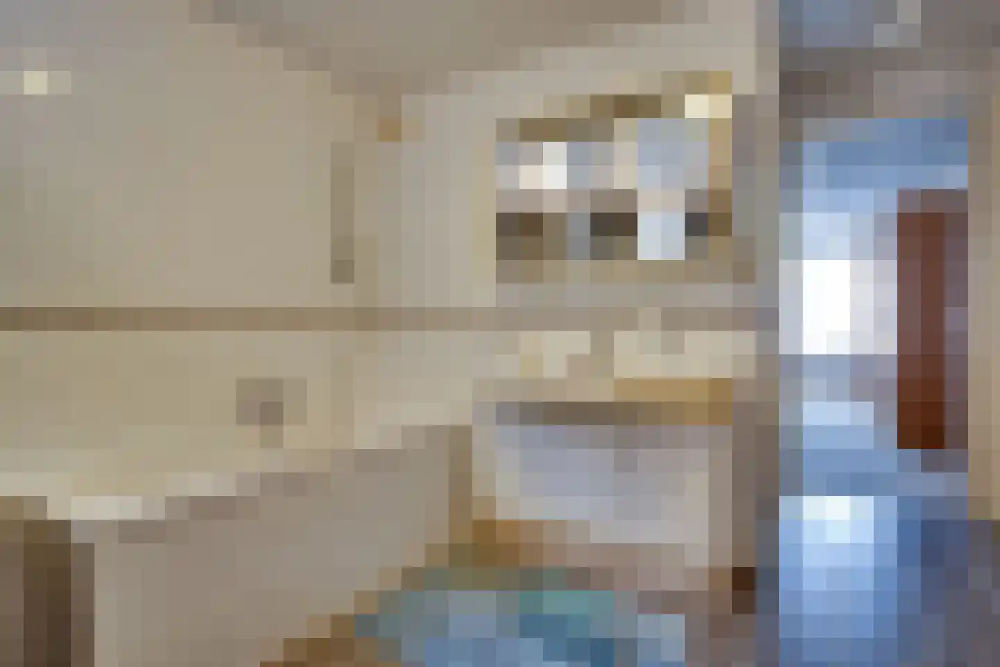 Skoalikkers 6 Augustinusga thumbnail 16
