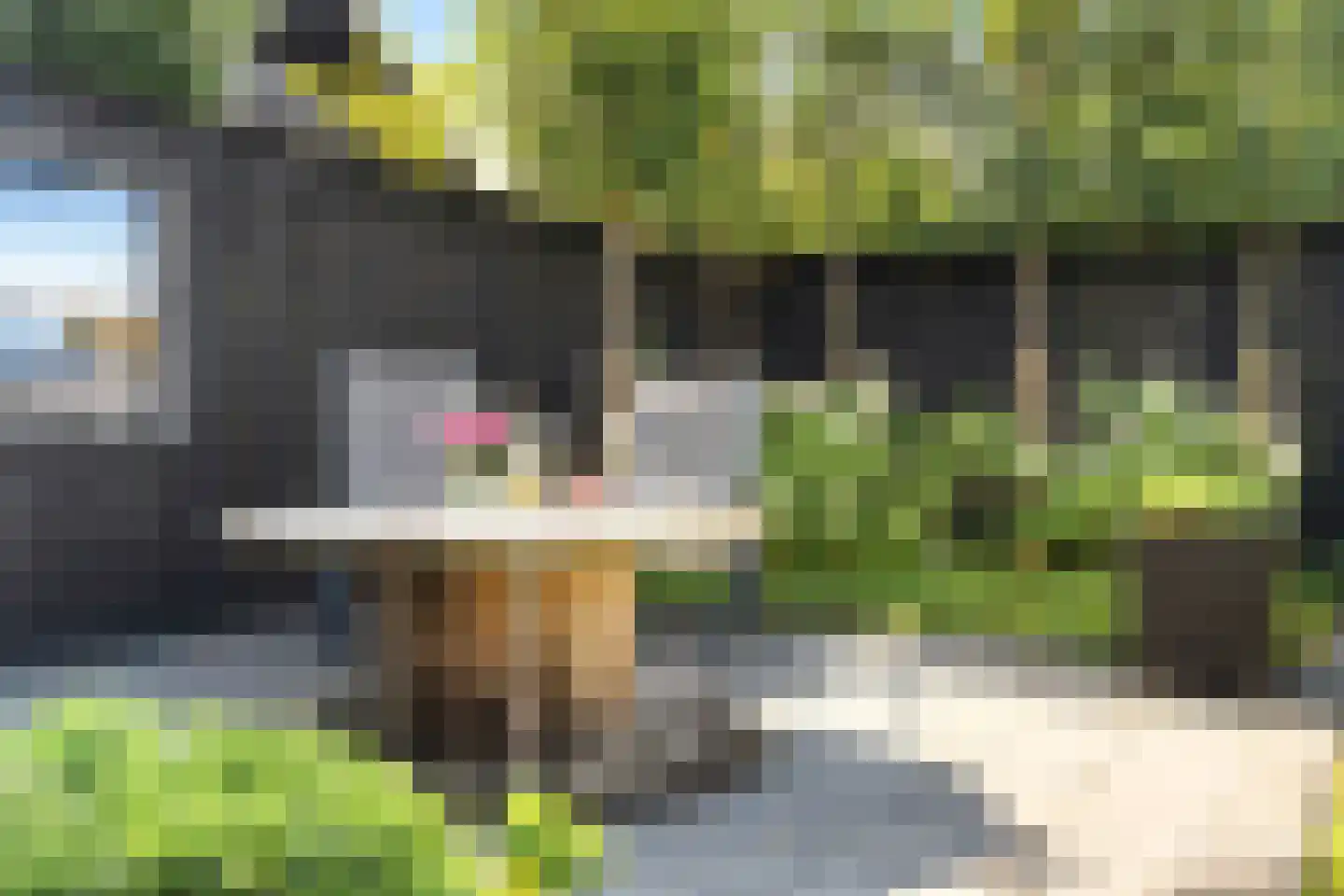 Skoallânswei 40 Dronryp thumbnail 28