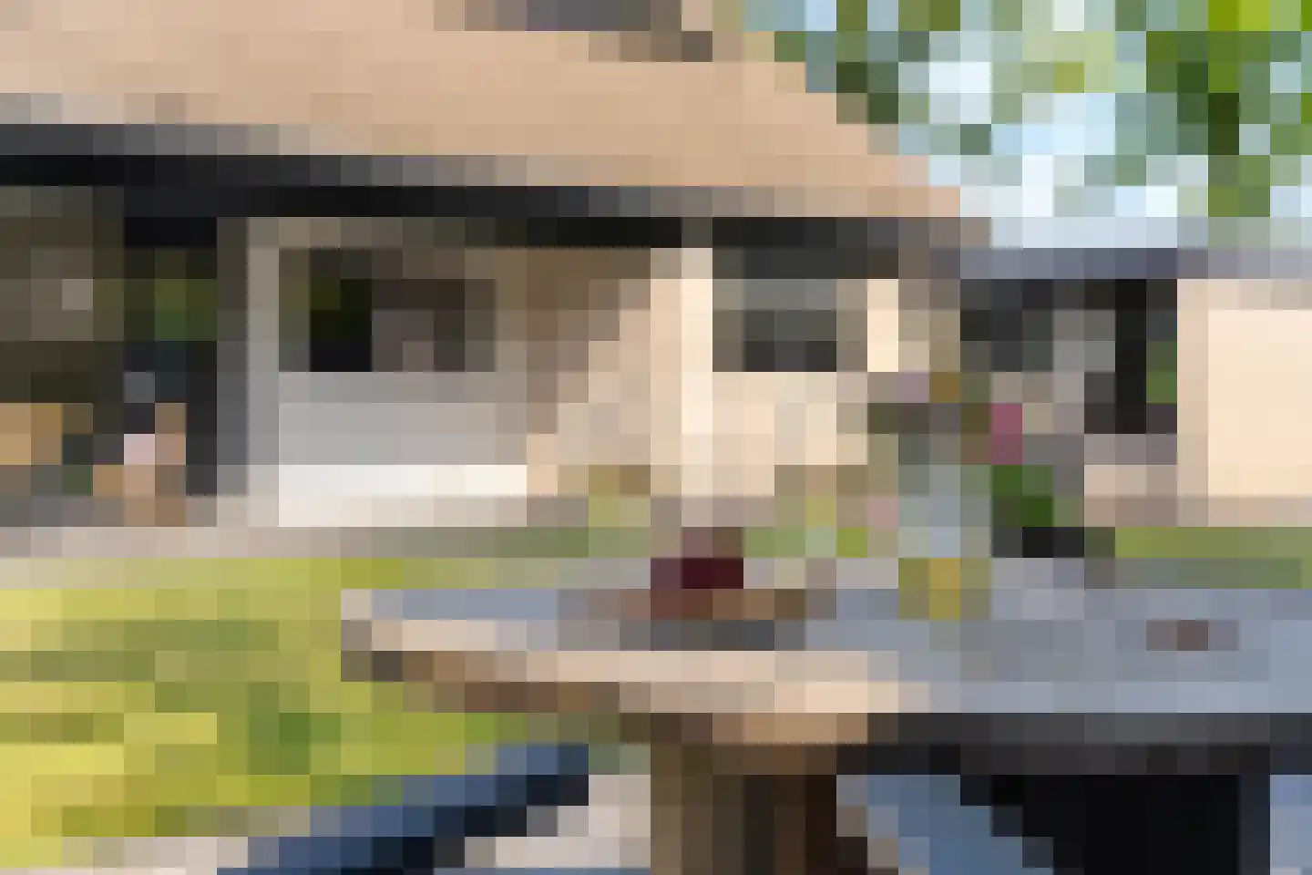 Skoallânswei 40 Dronryp thumbnail 29