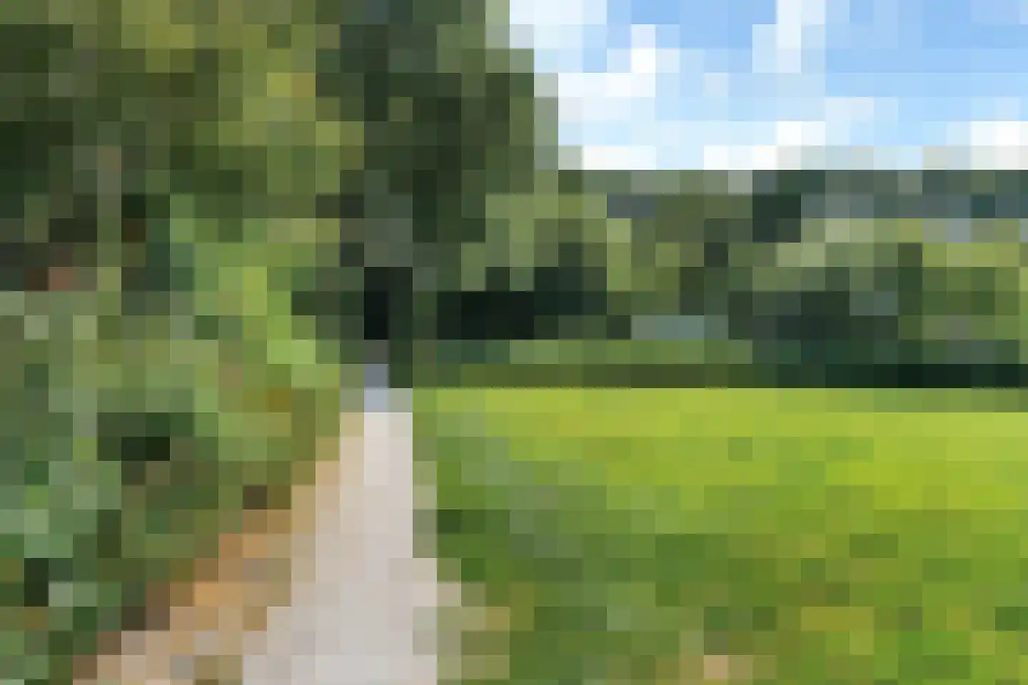 Skoallânswei 40 Dronryp thumbnail 45
