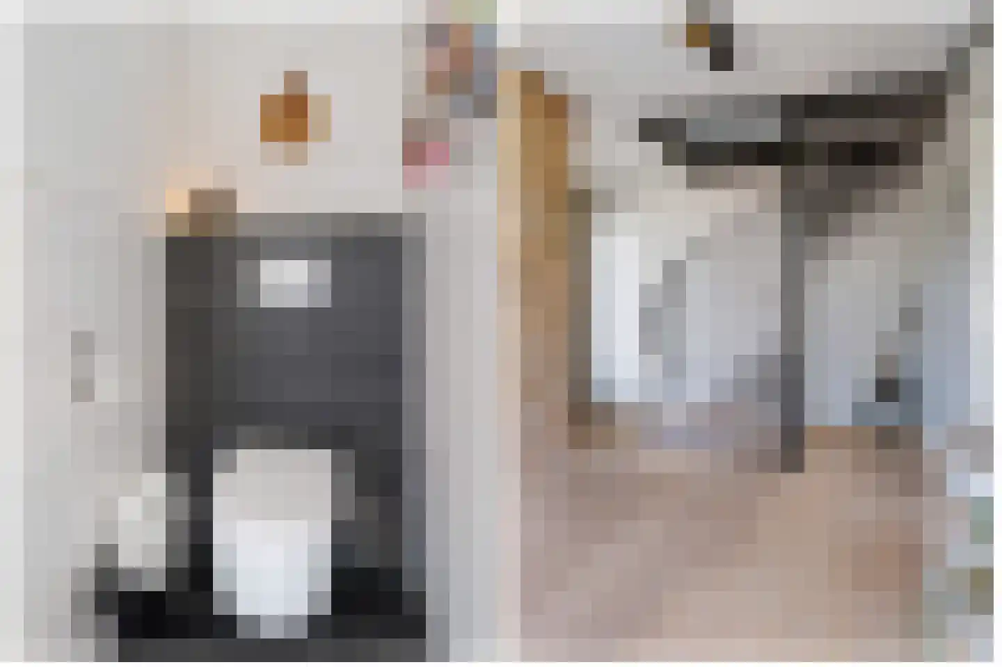 Skoallânswei 40 Dronryp thumbnail 9