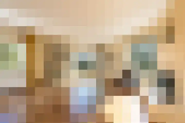 Skoalleane 35 Beetsterzwaag thumbnail 10