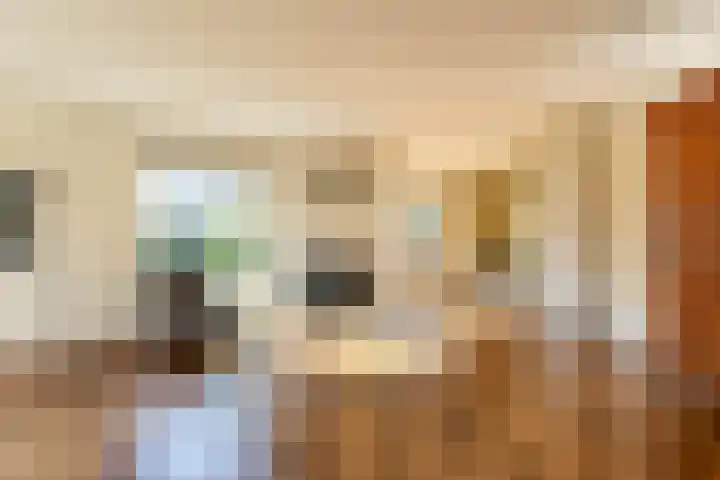 Skoalleane 35 Beetsterzwaag thumbnail 12