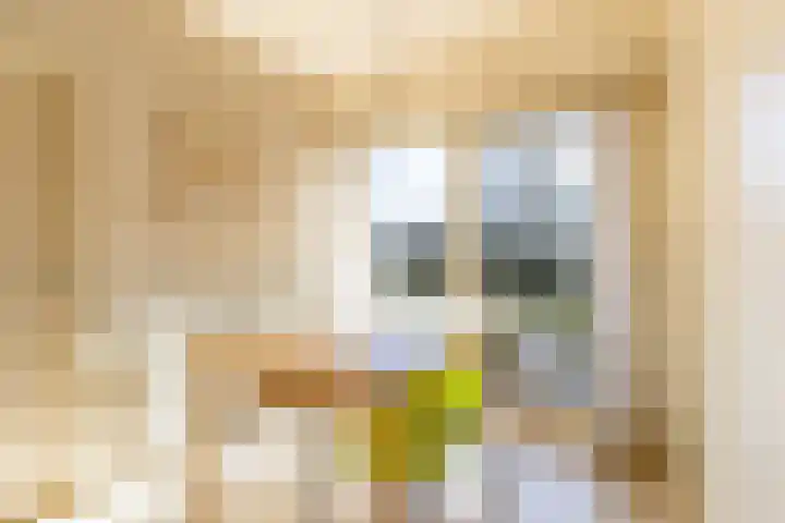 Skoalleane 35 Beetsterzwaag thumbnail 18
