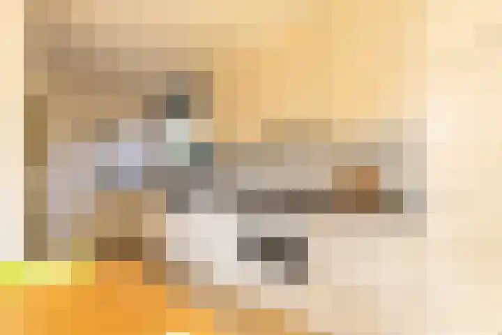 Skoalleane 35 Beetsterzwaag thumbnail 19