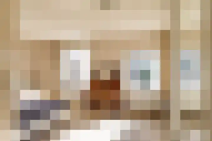 Skoalleane 35 Beetsterzwaag thumbnail 29
