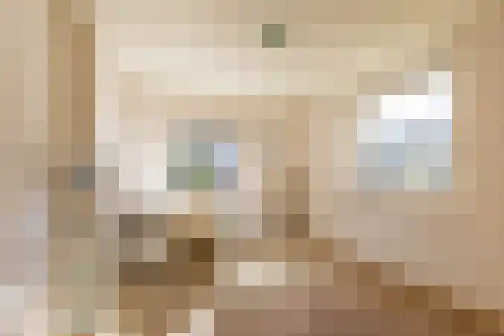 Skoalleane 35 Beetsterzwaag thumbnail 35