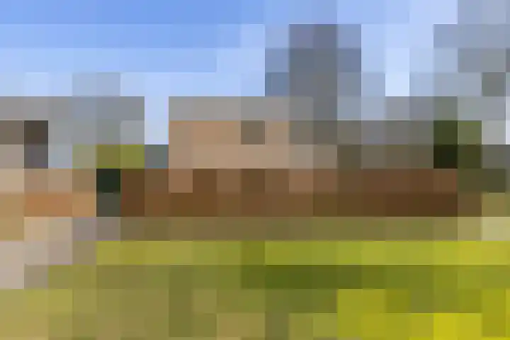 Skoalleane 35 Beetsterzwaag thumbnail 38