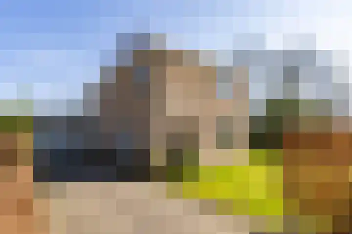 Skoalleane 35 Beetsterzwaag thumbnail 39