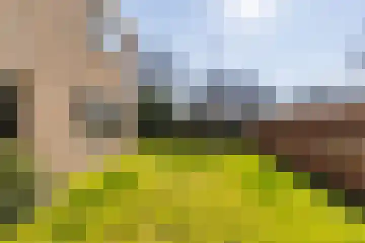 Skoalleane 35 Beetsterzwaag thumbnail 41