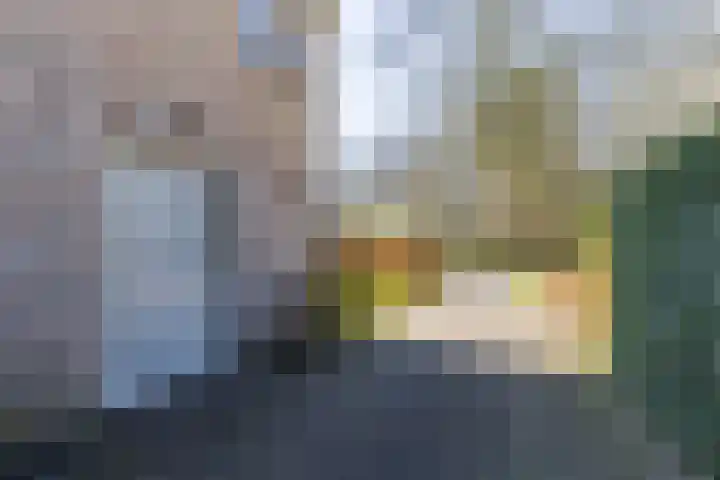 Skoalleane 35 Beetsterzwaag thumbnail 42