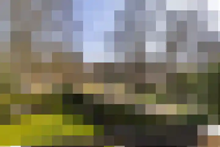 Skoalleane 35 Beetsterzwaag thumbnail 43