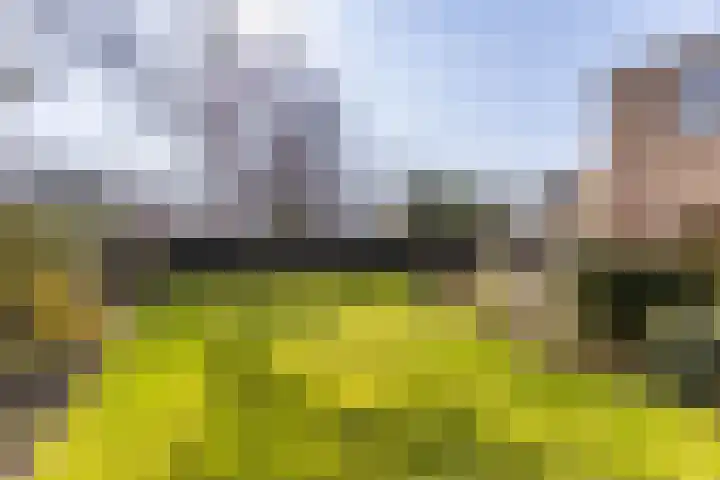 Skoalleane 35 Beetsterzwaag thumbnail 44