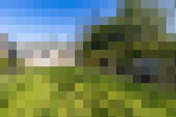 Skoalleane 35 Beetsterzwaag thumbnail 45