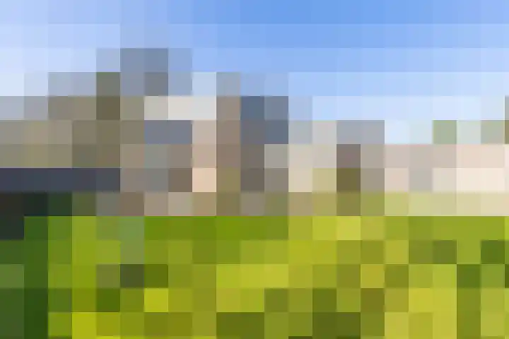 Skoalleane 35 Beetsterzwaag thumbnail 46