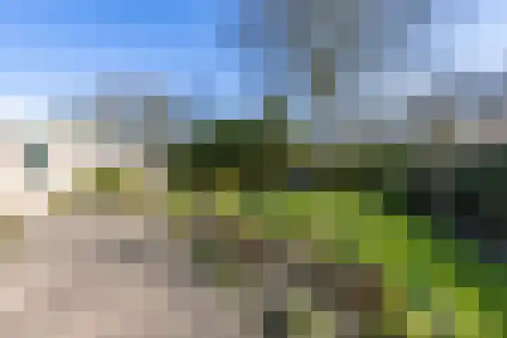 Skoalleane 35 Beetsterzwaag thumbnail 49