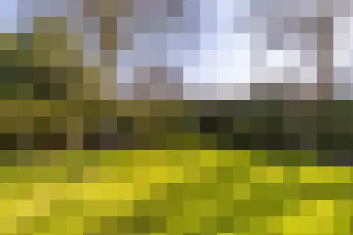 Skoalleane 35 Beetsterzwaag thumbnail 51