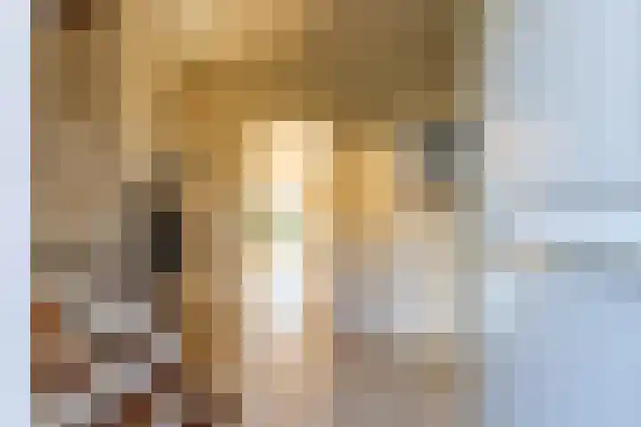 Skoalleane 35 Beetsterzwaag thumbnail 9