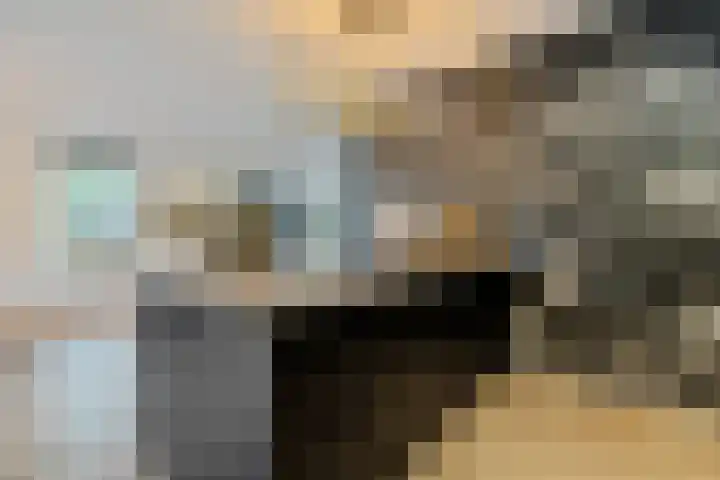 Skoalleane 51 Ureterp thumbnail 13