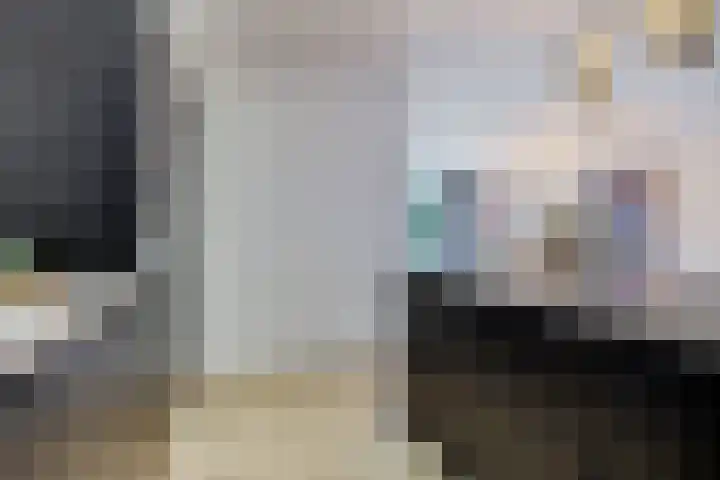 Skoalleane 51 Ureterp thumbnail 15