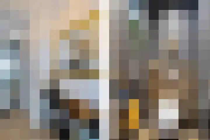 Skoalleane 51 Ureterp thumbnail 19