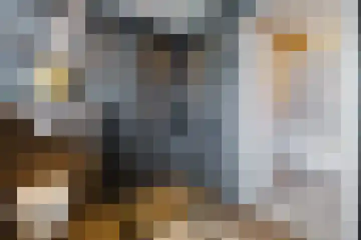 Skoalleane 51 Ureterp thumbnail 33