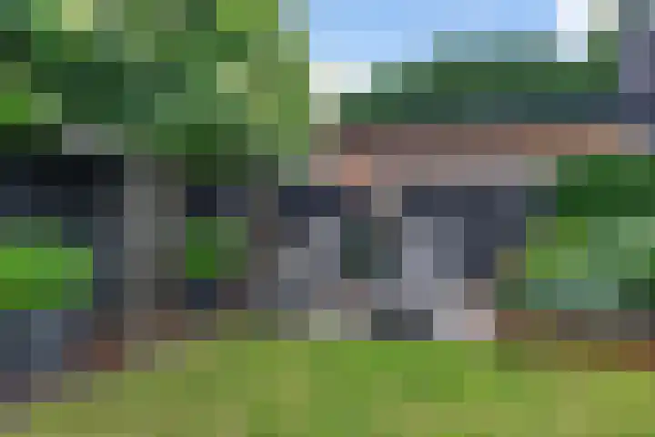 Skoalleane 51 Ureterp thumbnail 39