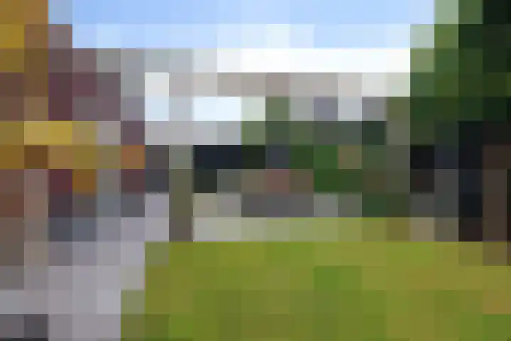 Skoalleane 51 Ureterp thumbnail 40