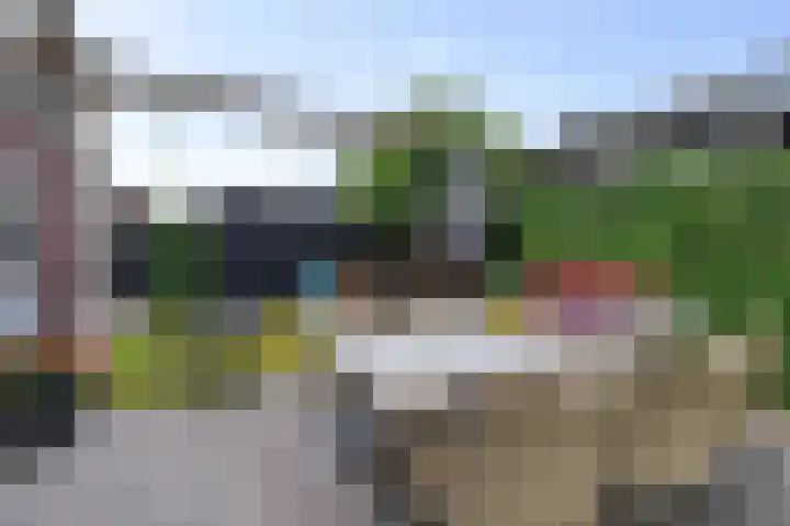 Skoalleane 51 Ureterp thumbnail 41