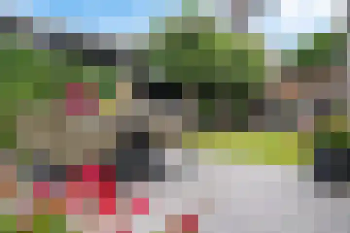 Skoalleane 51 Ureterp thumbnail 43