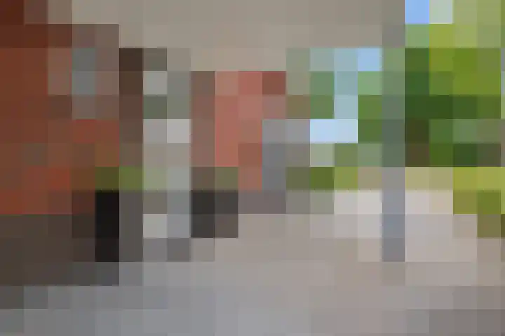 Skoalleane 51 Ureterp thumbnail 46
