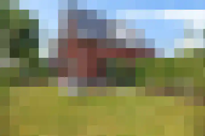 Skoalleane 51 Ureterp thumbnail 48