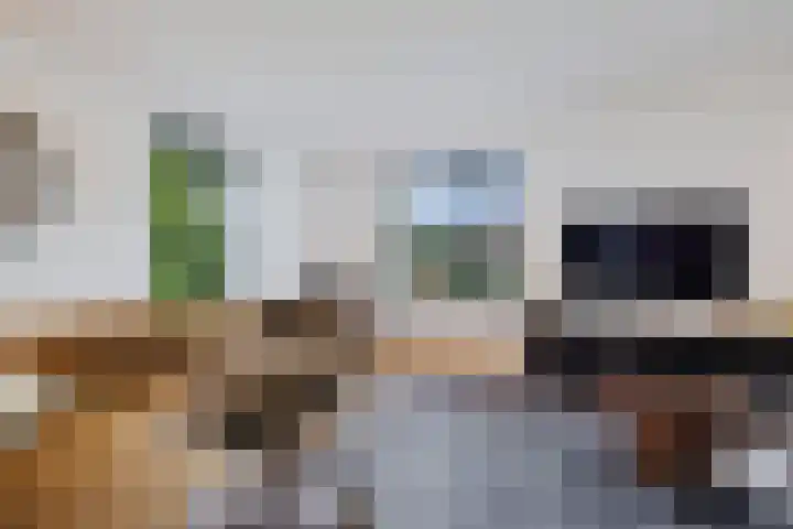 Skoalleane 51 Ureterp thumbnail 5