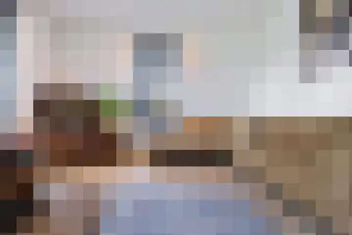 Skoalleane 51 Ureterp thumbnail 7