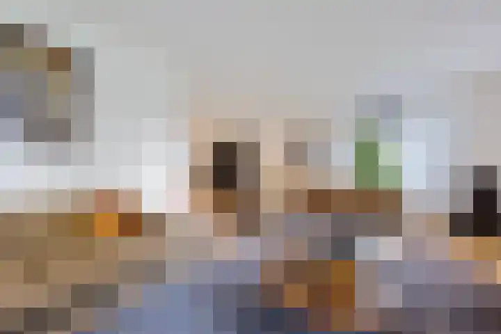 Skoalleane 51 Ureterp thumbnail 8