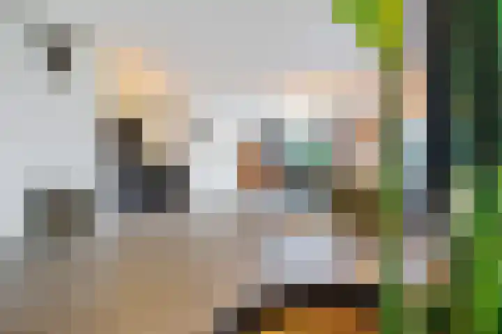 Skoalleane 51 Ureterp thumbnail 9