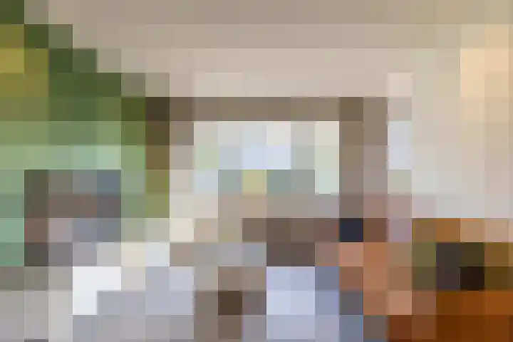 Skoalleane 8 Beetsterzwaag thumbnail 11