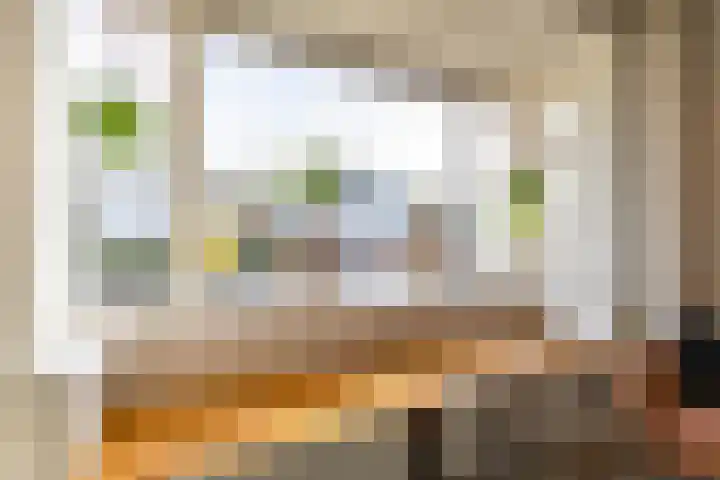 Skoalleane 8 Beetsterzwaag thumbnail 12