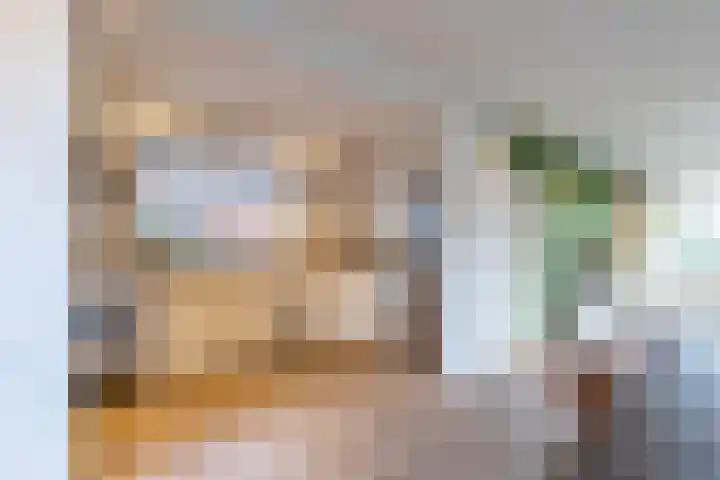 Skoalleane 8 Beetsterzwaag thumbnail 16