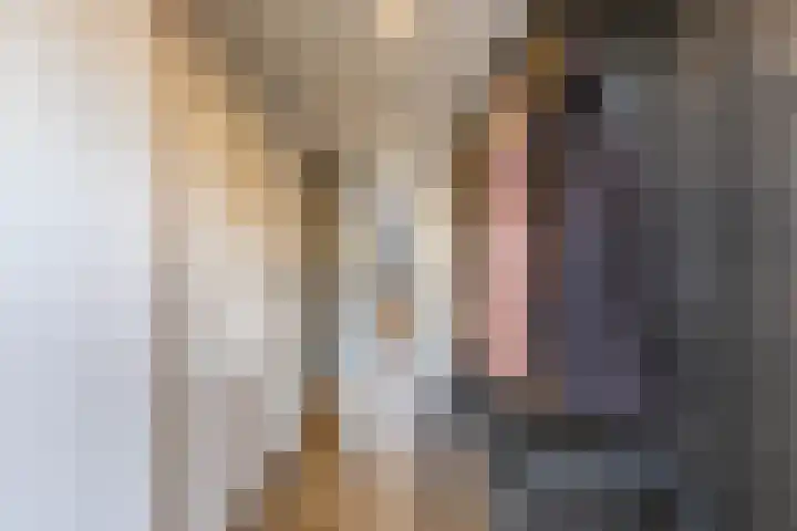 Skoalleane 8 Beetsterzwaag thumbnail 25
