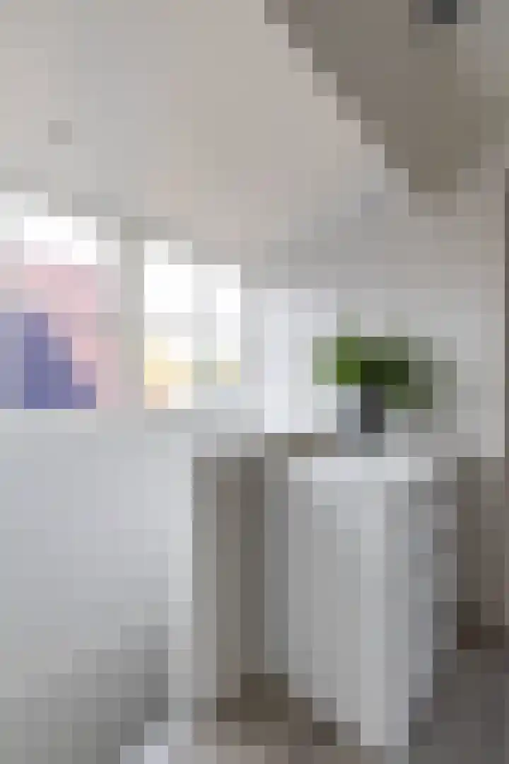 Skoalleane 8 Beetsterzwaag thumbnail 29