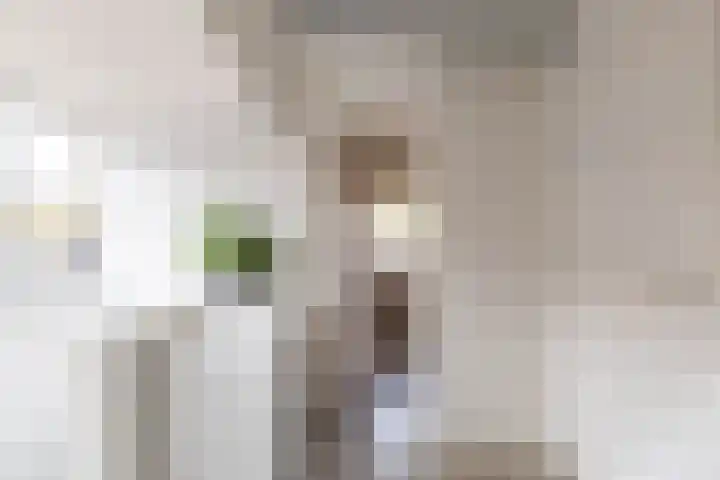 Skoalleane 8 Beetsterzwaag thumbnail 30