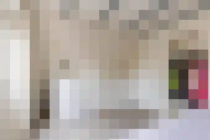 Skoalleane 8 Beetsterzwaag thumbnail 37